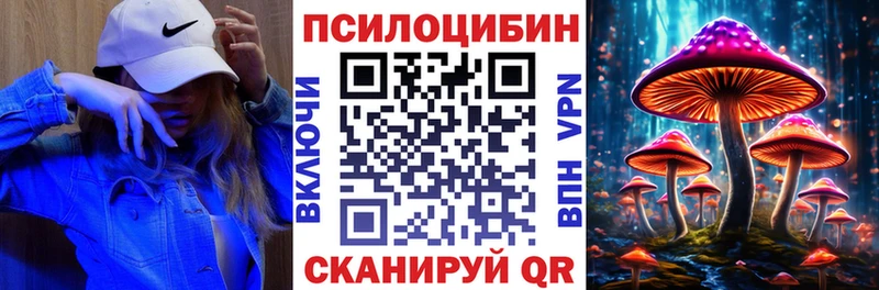 купить наркотики цена сайты даркнета состав Галлюциногенные грибы GOLDEN TEACHER Майкоп OMG ONION