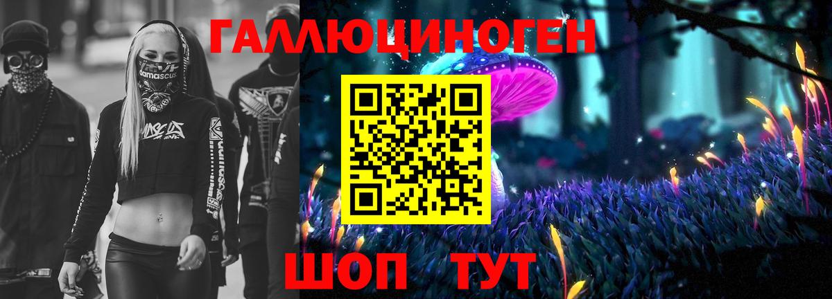 Галлюциногенные грибы мухоморы Майкоп